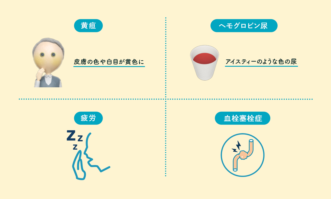 溶血・その他による症状(貧血による症状以外) イメージイラスト